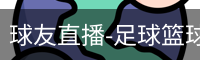 球友直播-足球篮球体育直播平台